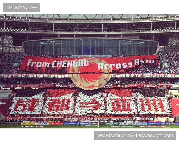 成都蓉城亚冠期间的医疗与恢复体系揭秘