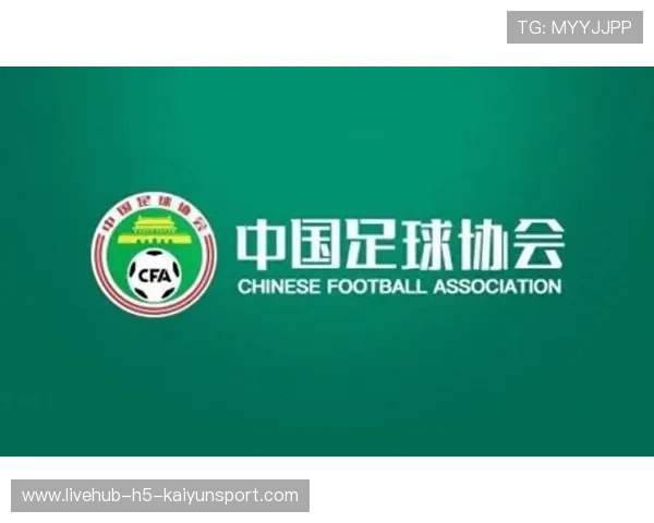 亚洲足球杯：本土球队主场优势显著，亚洲杯十大足球场